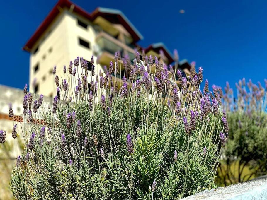 Lindo Apartamento Na Montanha! Daire Águas de Lindóia Dış mekan fotoğraf